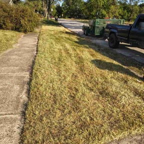 Leaf Removal by Neighborhood lawn pro reviewed on September 12, 2026