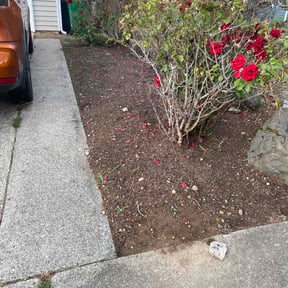 Flower Bed Weeding by Clover construction LLC reviewed on September 15, 2026