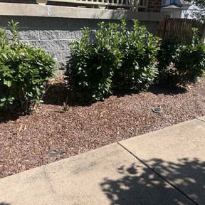 Flower Bed Weeding by Done Right Handyman Services LLC. reviewed on October 15, 2026