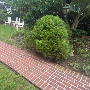 Bush Trimming by Durgin’s Lawn Service reviewed on September 12, 2026