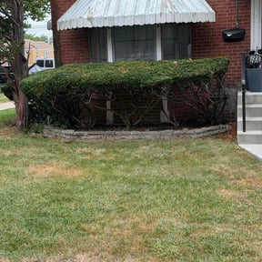 Bush Trimming by Extra Mile Lawn Care and Junk Removal reviewed on September 15, 2026