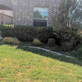 Bush Trimming by Gosia Landscaping reviewed on September 12, 2026