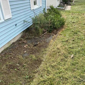 Flower Bed Weeding by NextUp LawnCare reviewed on September 15, 2026