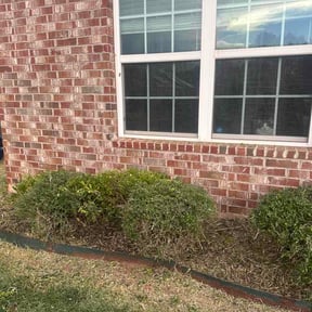 Bush Trimming by JD Lawn Care reviewed on September 16, 2026