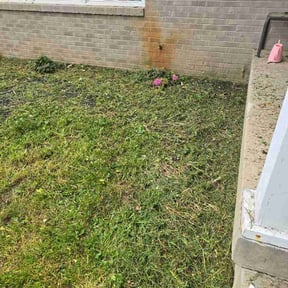 Flower Bed Weeding by Roots of the Earth Inc. reviewed on September 16, 2026