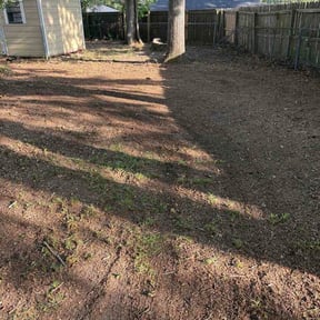 Leaf Removal by Jay's Tree and Lawn reviewed on September 16, 2026