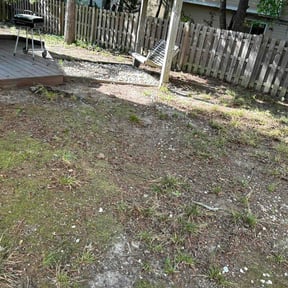 Leaf Removal by Deep Sweep Cleaning and Landscaping reviewed on September 14, 2026