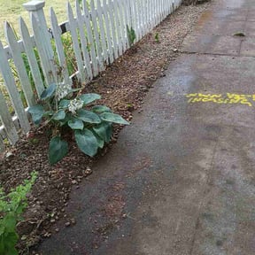 Flower Bed Weeding by His &amp; hers lawncare reviewed on September 17, 2026