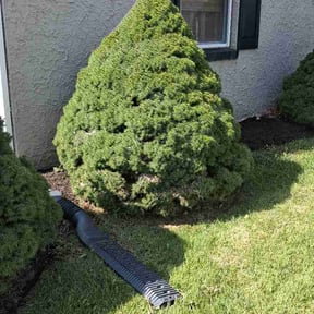 Flower Bed Weeding by Chiappetta  fierro llc reviewed on October 12, 2026