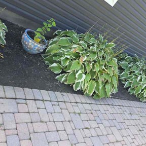 Flower Bed Weeding by Durgin’s Lawn Service reviewed on September 17, 2026