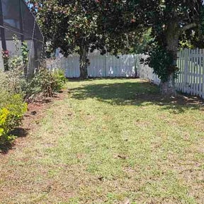 Leaf Removal by Main Cutt reviewed on September 13, 2026