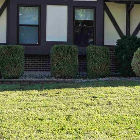 Bush Trimming by JD Landscaping reviewed on September 14, 2026