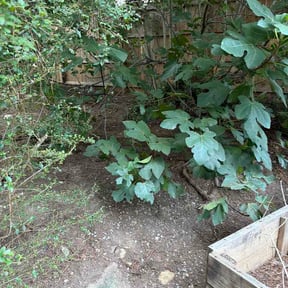 Leaf Removal by Djs 360 contracting reviewed on September 15, 2026