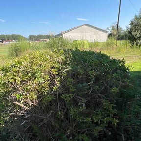 Bush Trimming by Martinez Landscape reviewed on October 9, 2026