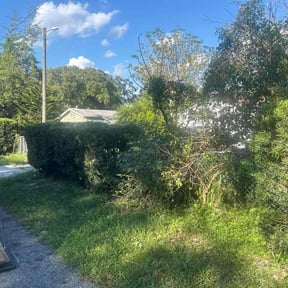 Bush Trimming by Connecticut central Landscaping reviewed on October 10, 2026