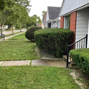 Bush Trimming by Marlon lawn service reviewed on September 11, 2026