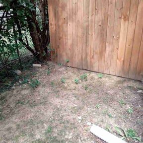 Leaf Removal by Abel Baeza reviewed on September 16, 2026