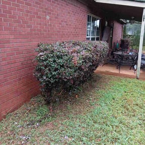 Bush Trimming by MK Lawncare LLC reviewed on September 14, 2026