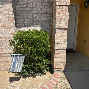 Bush Trimming by Marroquin Landscaping reviewed on September 11, 2026