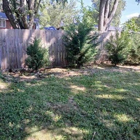 Bush Trimming by Mm lawn care reviewed on September 14, 2026