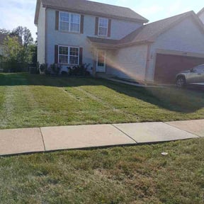Bush Trimming by Lowcountry Landscape and Design LLC reviewed on September 11, 2026