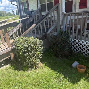 Bush Trimming by Pulgarcitos Lawns R&amp;R reviewed on September 11, 2026