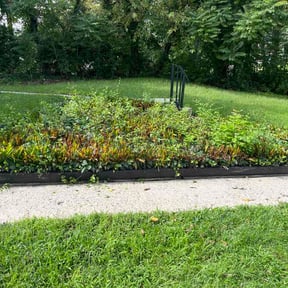 Bush Trimming by G&amp;M landscaping services,LLC reviewed on September 15, 2026