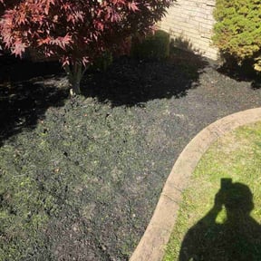 Flower Bed Weeding by Willie Lawn Care and More LLC reviewed on October 14, 2026