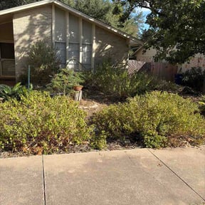 Bush Trimming by North Fort Worth Mowing reviewed on September 12, 2026