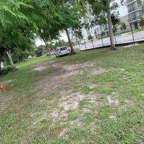 Leaf Removal by Corbin brother reviewed on September 16, 2026