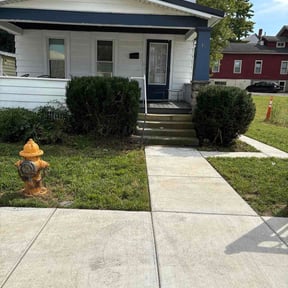 Bush Trimming by DKA lawns reviewed on September 11, 2026
