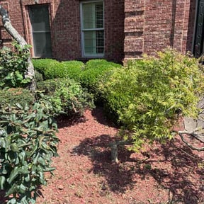 Flower Bed Weeding by Mayrs mowing reviewed on September 12, 2026