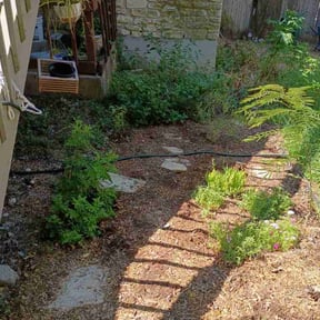 Flower Bed Weeding by Good news gardening reviewed on September 11, 2026