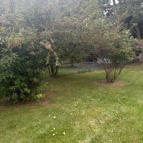 Bush Trimming by Dutch Fork Lawn Care reviewed on September 11, 2026