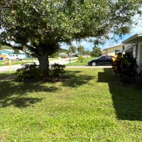 Leaf Removal by D&amp;C landscaping&amp; plowing service reviewed on September 16, 2026