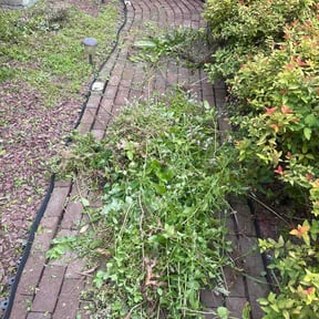 Flower Bed Weeding by shrubsandmorebyc&amp;b reviewed on August 31, 2026