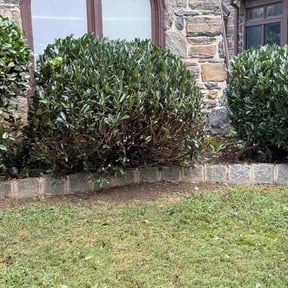 Bush Trimming by Tropicare Landscape and Maintenance reviewed on October 23, 2025
