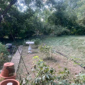 Flower Bed Weeding by TK Lawncare reviewed on September 17, 2026