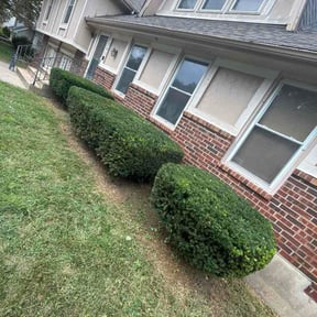 Bush Trimming by Lake house lawn and landscaping reviewed on September 14, 2026