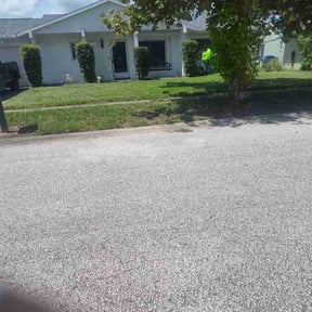 Bush Trimming by Leland and son lawn services reviewed on September 12, 2026