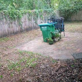 Leaf Removal by Stellar Landscapes reviewed on September 11, 2026