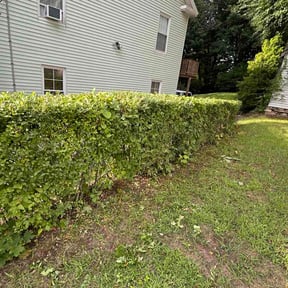 Bush Trimming by Lopez lawnmower reviewed on September 17, 2026