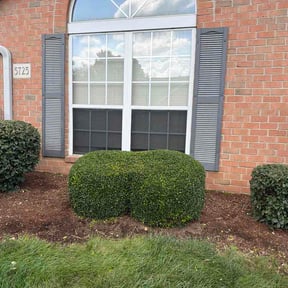 Bush Trimming by Clean Money construction &amp; landscaping reviewed on September 15, 2026
