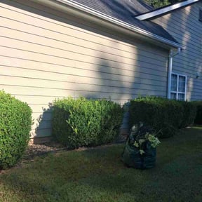 Flower Bed Weeding by C&amp;S Lawn Services reviewed on August 24, 2026