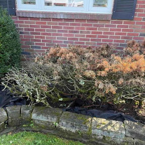 Flower Bed Weeding by His &amp; Hers Landscaping reviewed on September 15, 2026