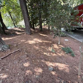 Leaf Removal by Caesar’s Premier Landscaping reviewed on September 11, 2026