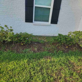 Flower Bed Weeding by Theo's Lawn care reviewed on September 13, 2026