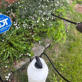 Flower Bed Weeding by Akpess Lawn care. reviewed on September 11, 2026