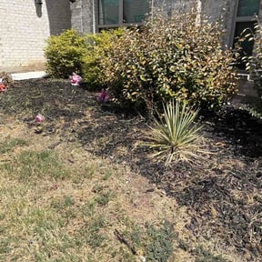Flower Bed Weeding by Sslawncare reviewed on September 11, 2026