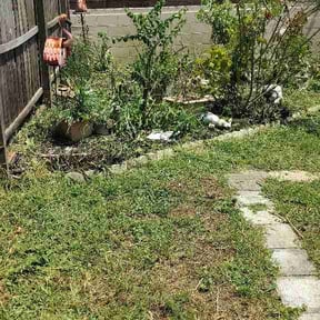 Leaf Removal by Cre8tive Art's Work LLC Lawn Care &amp; Property Preservation reviewed on August 22, 2026